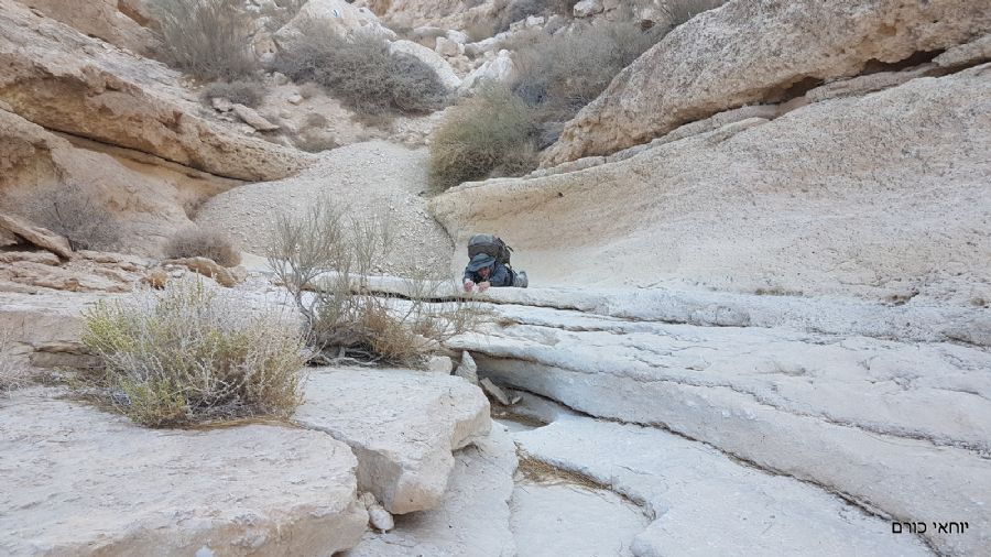 יורדים בנחל תלול